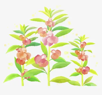 粉色鲜花水彩插画免抠