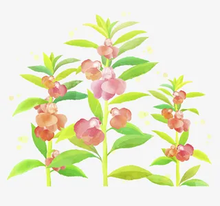 粉色鲜花水彩插画免抠