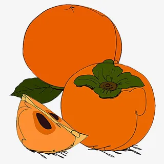 柿子插画免抠