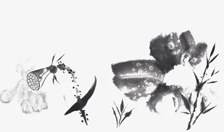 水墨荷花荷叶免抠