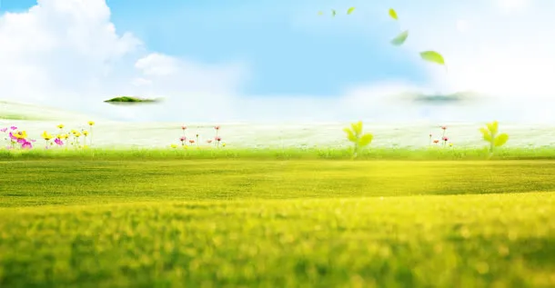 绿色草地叶片飞舞海报背景