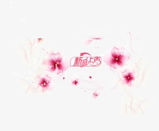 美丽的花朵免抠