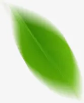 绿色模糊树叶漂浮装饰免抠