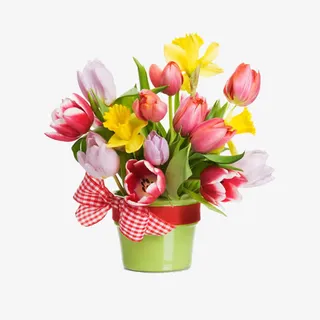 美丽的郁金香插花图片免抠