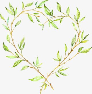彩绘小清新心形绿色花环边框矢量免抠