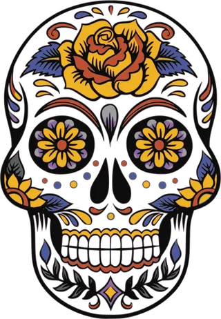 插画免扣头颅高清