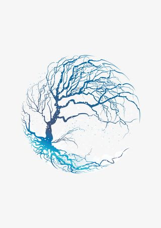 春夏秋冬季节树木免抠