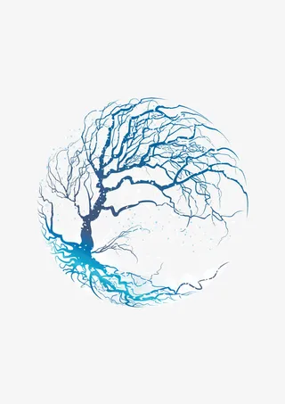 春夏秋冬季节树木免抠