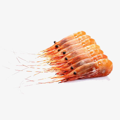 野生牡丹虾免抠