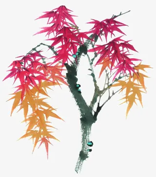 写意枫树免抠