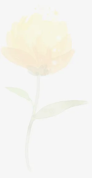 唯美若隐若现浪漫梦幻花朵海报背景图片