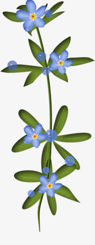 蓝色花朵免抠