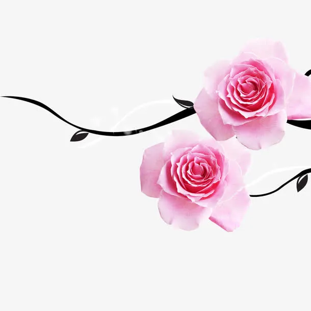 花朵免抠