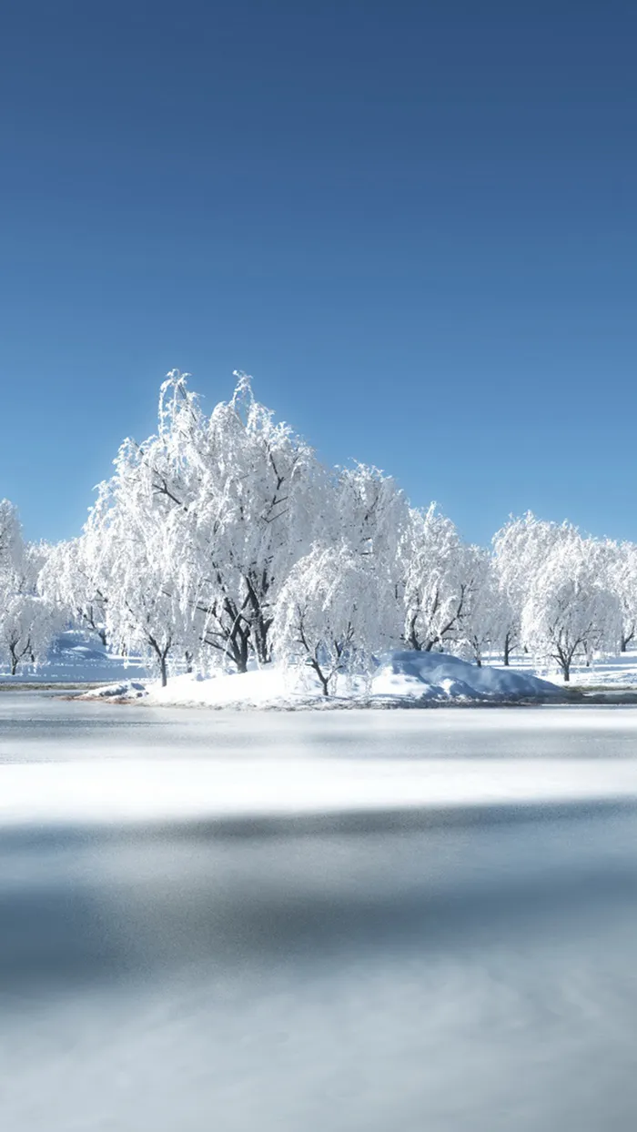 冬天雪地H5背景高清
