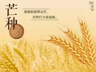 24节气芒种养生免抠