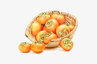 一筐柿子免抠