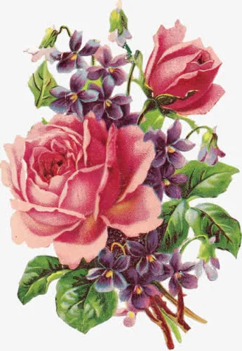 手绘花朵免抠