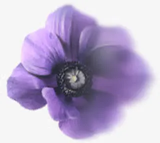 蓝色漂浮花瓣png素材免抠