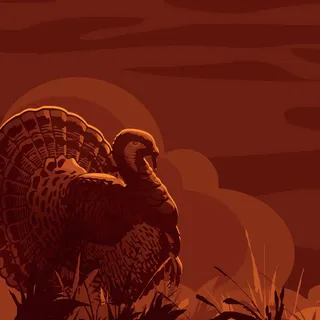 感恩节火鸡免抠