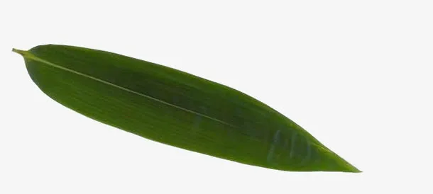 粽叶纹理免抠
