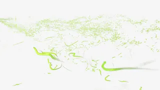 绚丽夜晚鬼火萤火虫唯美免扣素材免抠