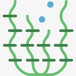 海藻图标免抠