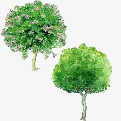 树木手绘画素材图片免抠
