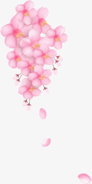 樱花免抠