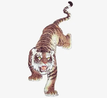 老虎猛虎图片素材免抠