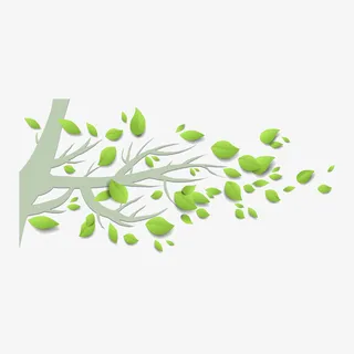 春天清新树叶树免抠