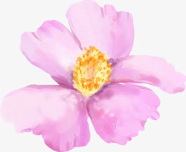 紫色春天精美花朵免抠