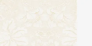 国画牡丹纹理免抠