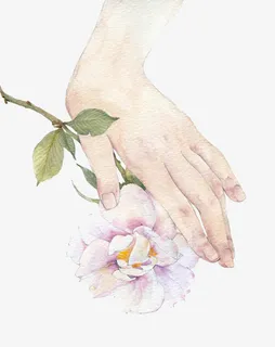 插画纤细的手免抠