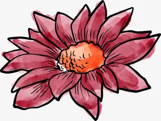 手绘水彩花卉免抠