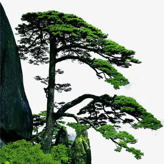 卡通迎客松和山峰装饰免抠