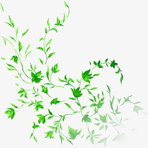 绿色艺术花藤手绘树叶免抠