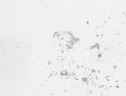 玻璃杯落地碎裂瞬间免抠