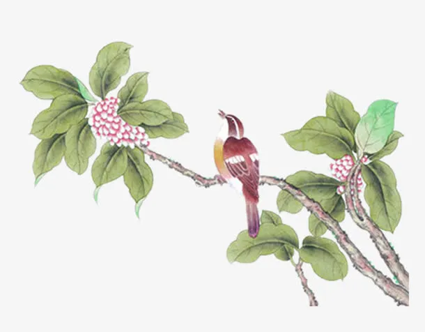 国画花鸟免抠