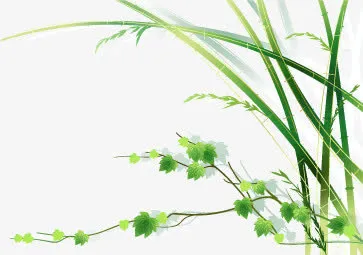 绿色草藤春天装饰免抠