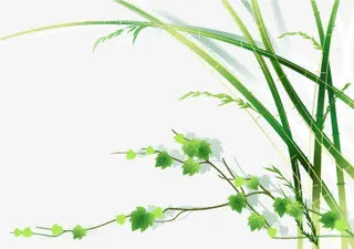 绿色草藤春天装饰免抠