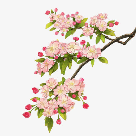 手绘古风梅花免抠