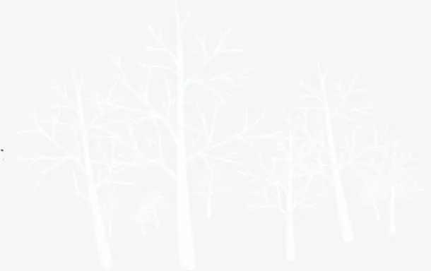 冬季雪地里的树枝免抠