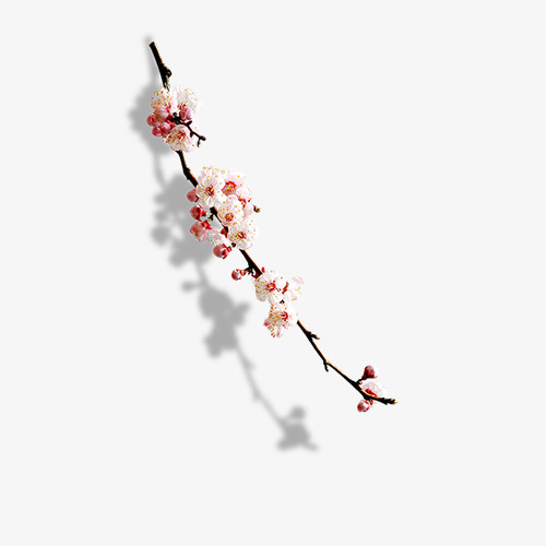 桃花树枝免抠