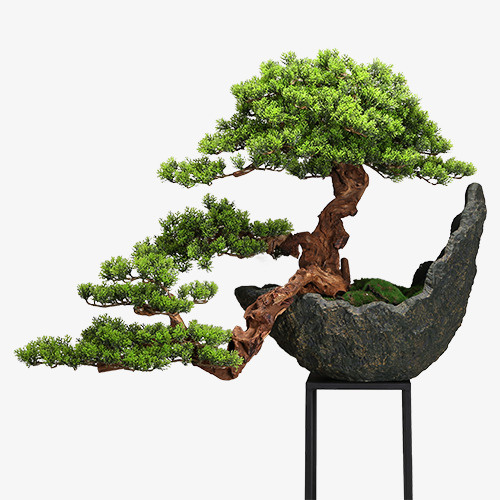 创意的松树盆景装饰免抠