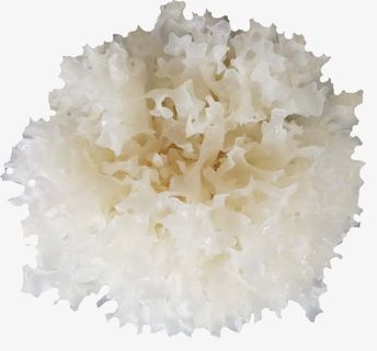 蔬菜类银耳免抠