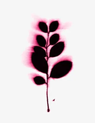 唯美元素梦幻免抠