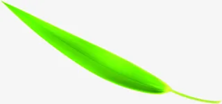 浓情五月清新绿叶免抠