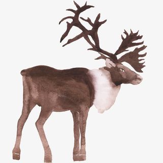 一匹驯鹿免抠