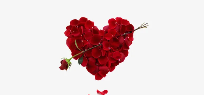 花瓣爱心免抠