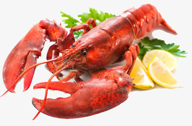 一只小龙虾免抠